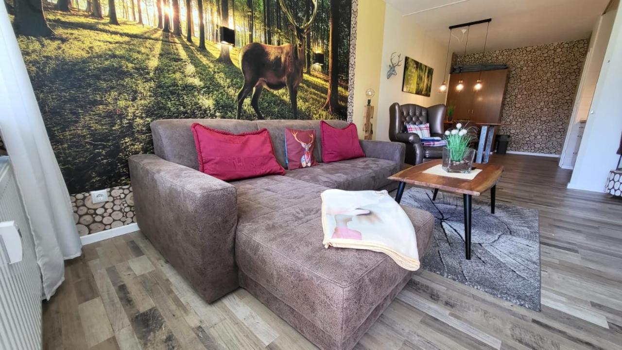Ferienwohnung Auenglueck Hahnenklee Harz 고슬라르 외부 사진